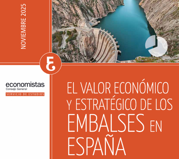 Informe Valor econmico embalses