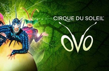 Circo del Sol